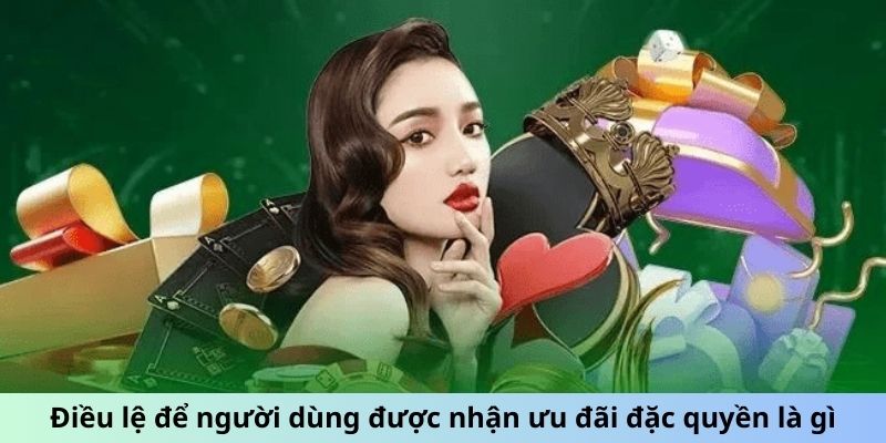 Điều lệ để người dùng được nhận ưu đãi đặc quyền là gì