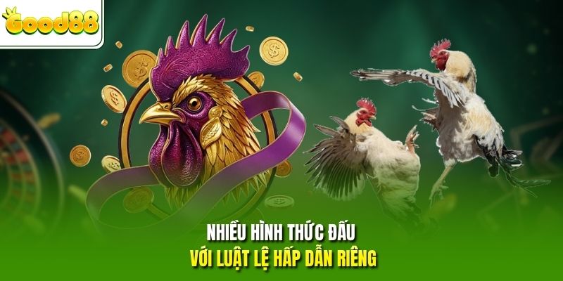 Nhiều hình thức đấu với luật lệ hấp dẫn riêng